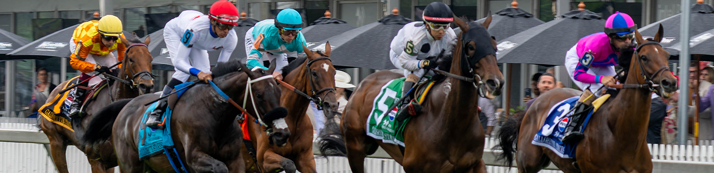 Race Horses